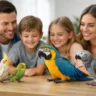How to Choose a Family Parrot