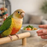 How to Help a New Parrot Settle at Home