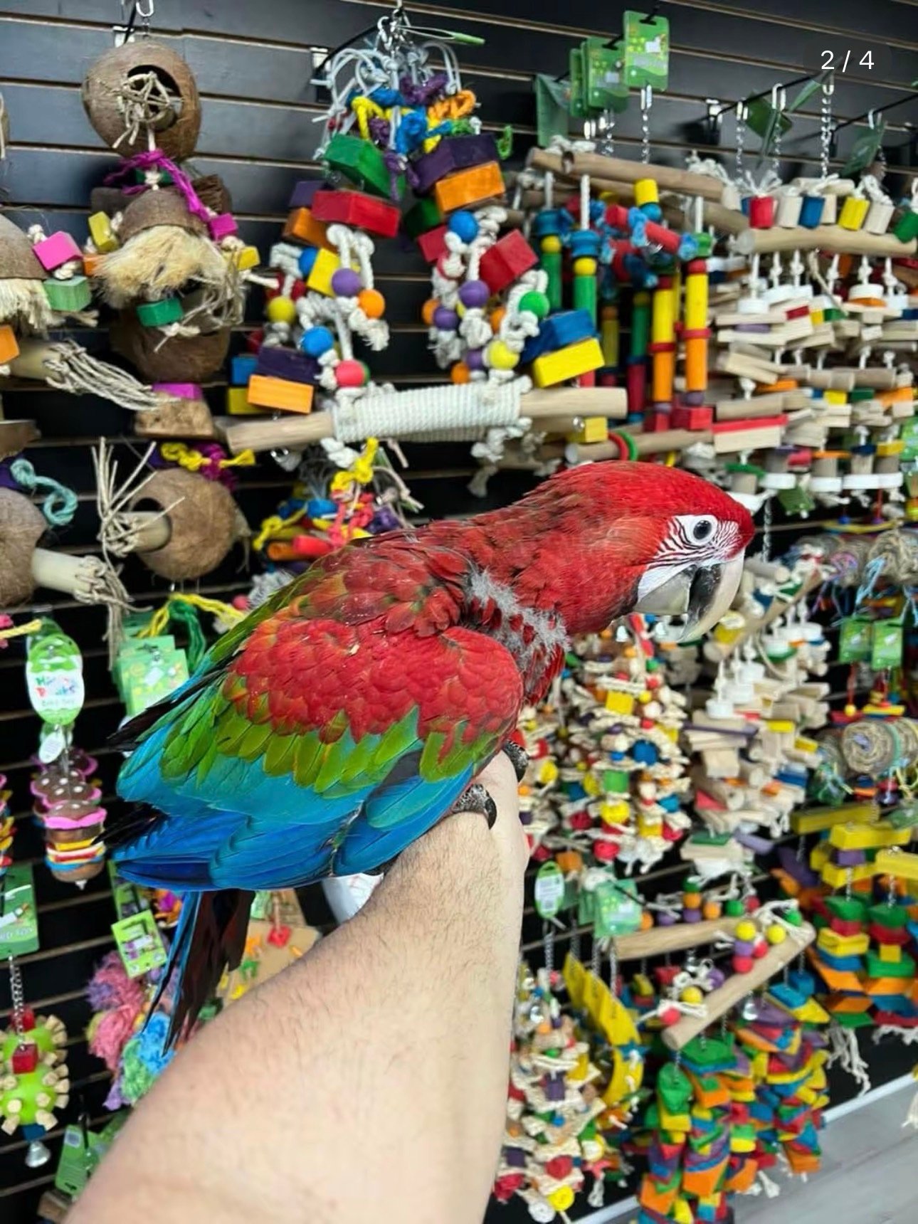 screenshot-55